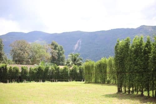 Deluxe Double or Twin Room with Mountain View