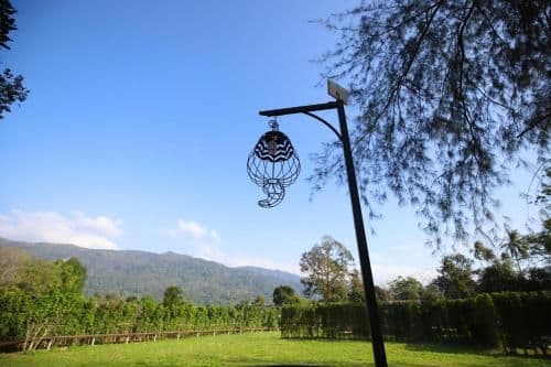 Deluxe Double or Twin Room with Mountain View