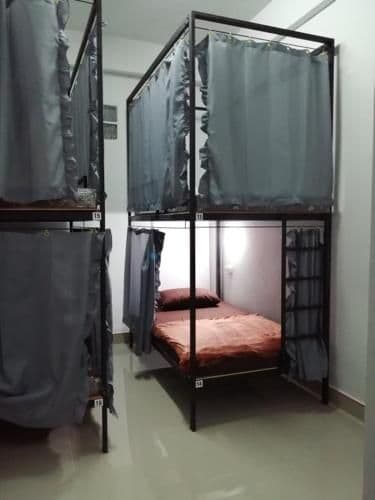 Bunk Bed in Mixed Dormitory Room
