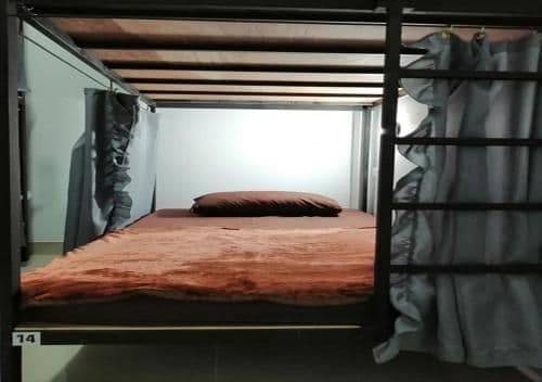 Bunk Bed in Female Dormitory Room  