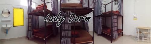 Bunk Bed in Female Dormitory Room  