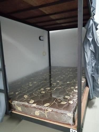Bunk Bed in Mixed Dormitory Room