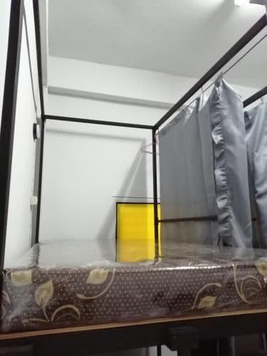 Bunk Bed in Mixed Dormitory Room