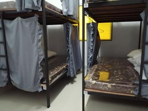 Bunk Bed in Mixed Dormitory Room