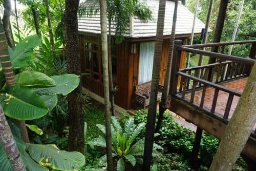 King Room with Pond and Garden View