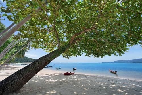 Villa - Beach Front