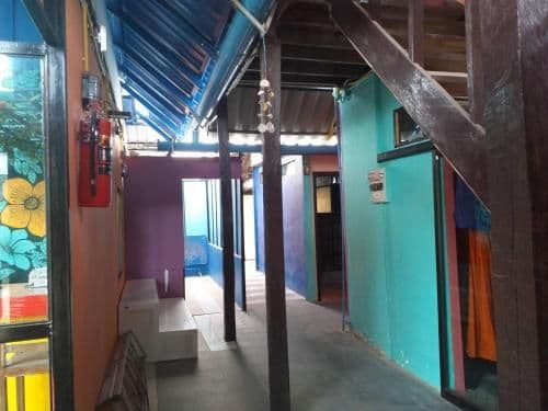 Bed in 8-Bed Dormitory Room