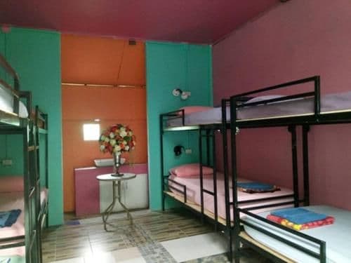 Bed in 8-Bed Dormitory Room