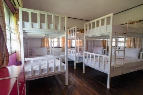 Bed in 6-Bed Mixed Dormitory Room