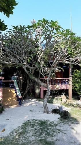 Villa with Garden View