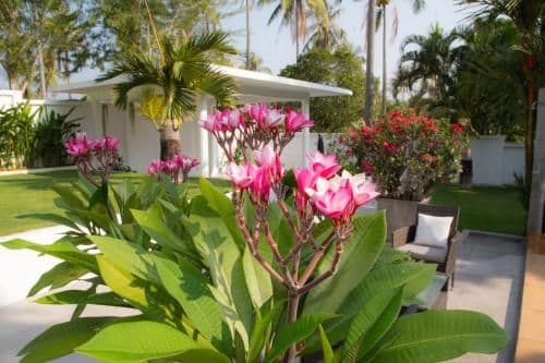 Five Bedrooms Private Pool Villa