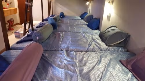 Bunk Bed in Mixed Dormitory Room