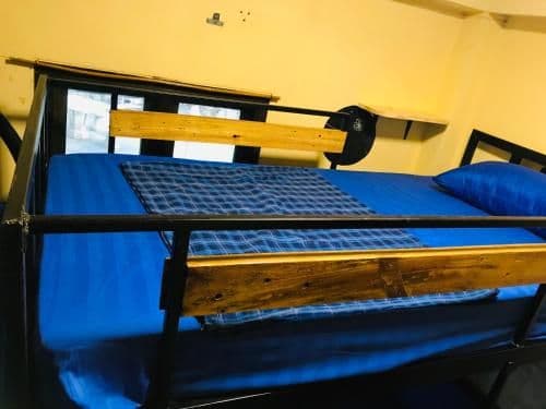 Bunk Bed in Mixed Dormitory Room