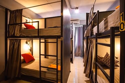 Bunk Bed in Female Dormitory Room