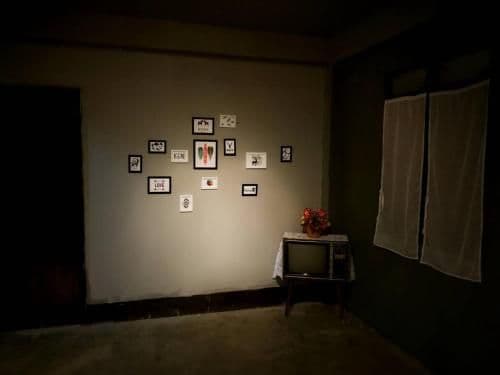 Single Bed in Female Dormitory Room