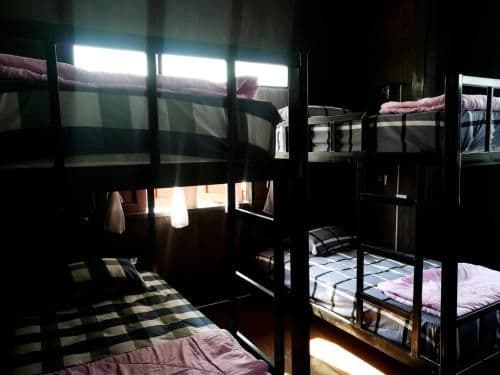 Bunk Bed in Mixed Dormitory Room