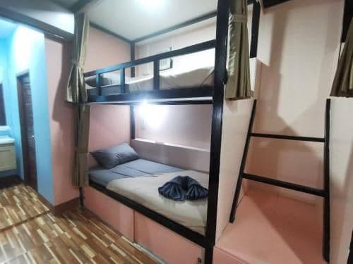 Bunk Bed in Mixed Dormitory Room