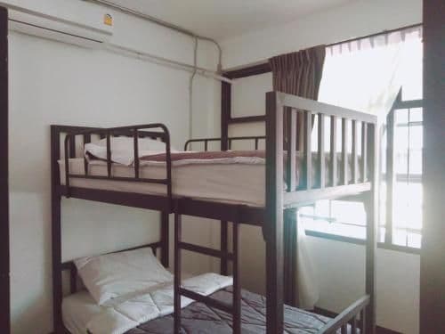 Bunk Bed in Mixed Dormitory Room