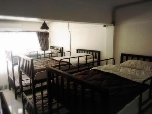 Bunk Bed in Mixed Dormitory Room