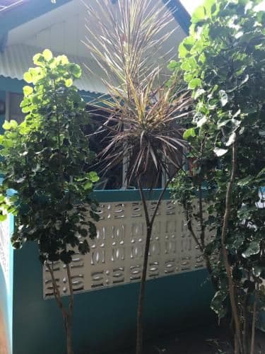Deluxe Bungalow with Garden View