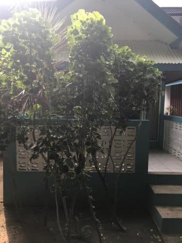 Deluxe Bungalow with Garden View