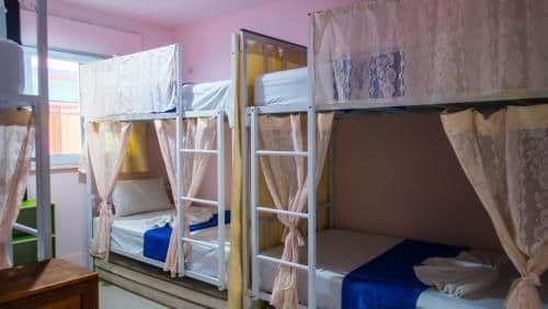 Bed in 4-Bed Mixed Dormitory Room
