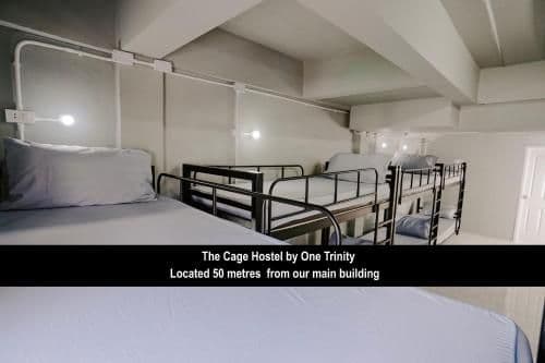 Bunk Bed in Mixed Dormitory Room