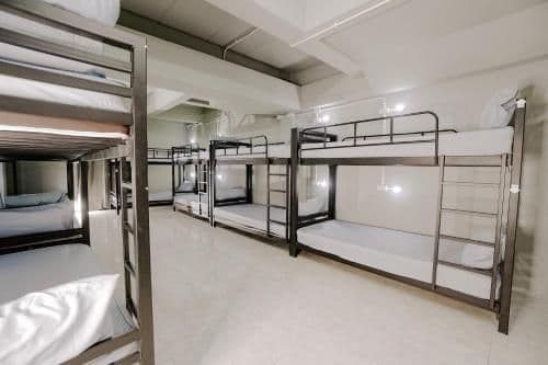 Bunk Bed in Mixed Dormitory Room