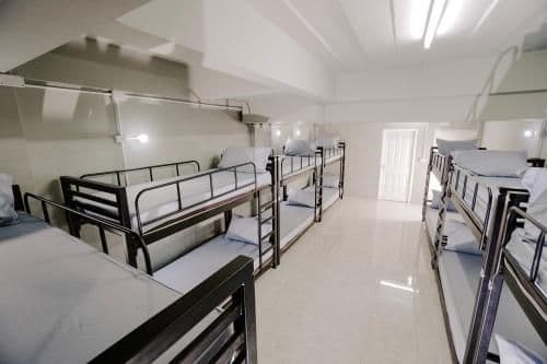 Bunk Bed in Mixed Dormitory Room