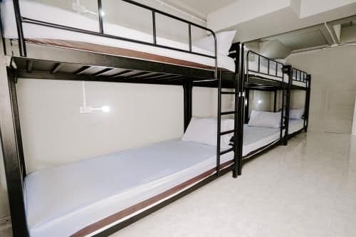 Bunk Bed in Mixed Dormitory Room
