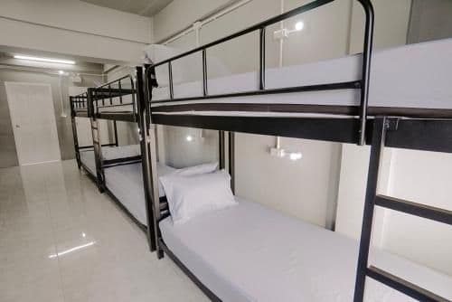 Bunk Bed in Mixed Dormitory Room