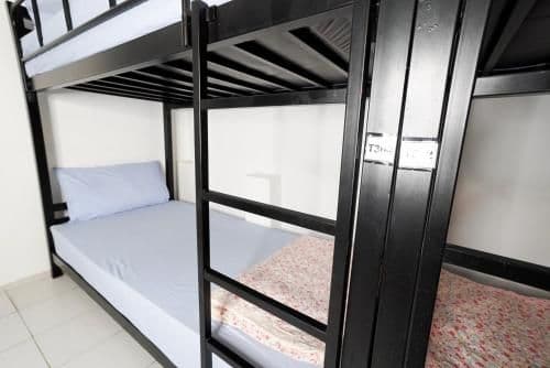 Bed in 6-Bed Mixed Dormitory Room with Ensuite Bathroom
