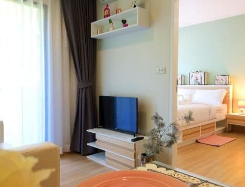 Deluxe One-Bedroom Apartment