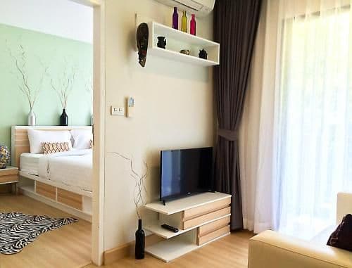 Deluxe One-Bedroom Apartment