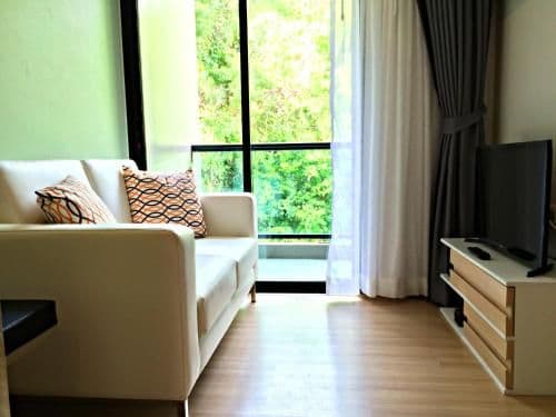 Deluxe One-Bedroom Apartment