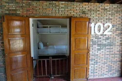Bunk Bed in Mixed Dormitory Room