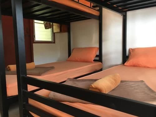 Bed in 6-Bed Mixed Dormitory Room
