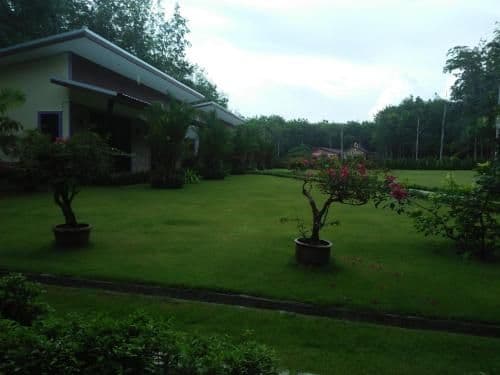 King Room with Garden View