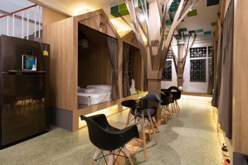 Bunk Bed in Mixed Dormitory Room