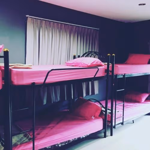 Bed in 12-Bed Mixed Dormitory Room