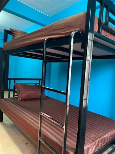 Bed in 6-Bed Female Dormitory Room