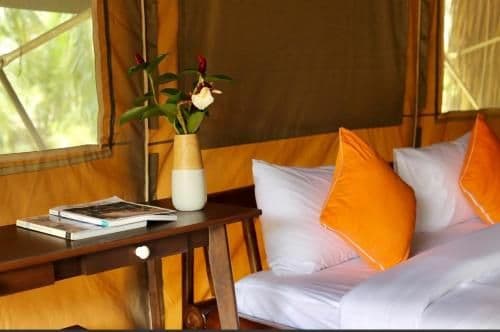 Standard Double or Twin Room with Garden View