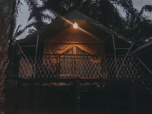 Superior Double or Twin Room with Garden View