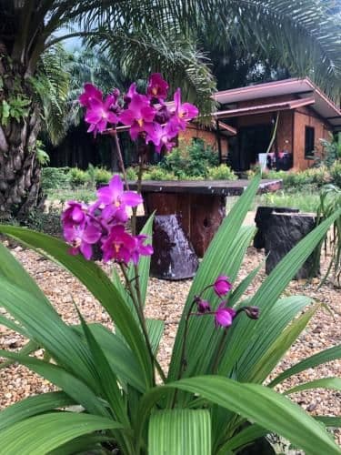 Bungalow with Air Conditioning