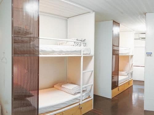 Bed in 6-Bed Dormitory Room