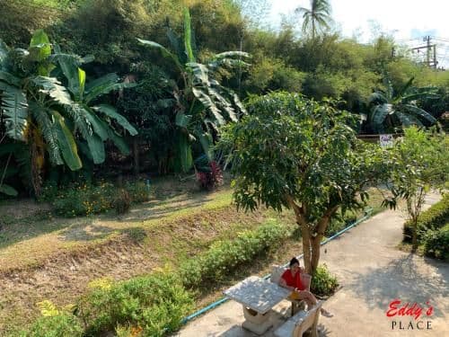 Economy Double Room with Shared Bathroom ( No Air conditioning)