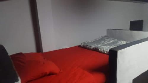 Bunk Bed in Mixed Dormitory Room