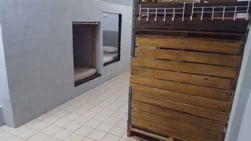 Bunk Bed in Mixed Dormitory Room