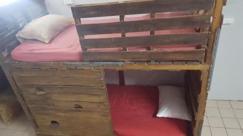 Bunk Bed in Mixed Dormitory Room
