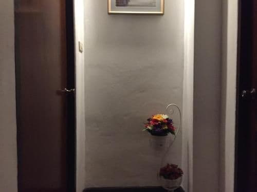 Superior Studio